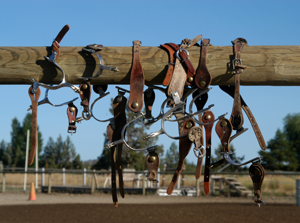 Boarding and Leasing available at Diane's Riding Place located in Bend, Oregon